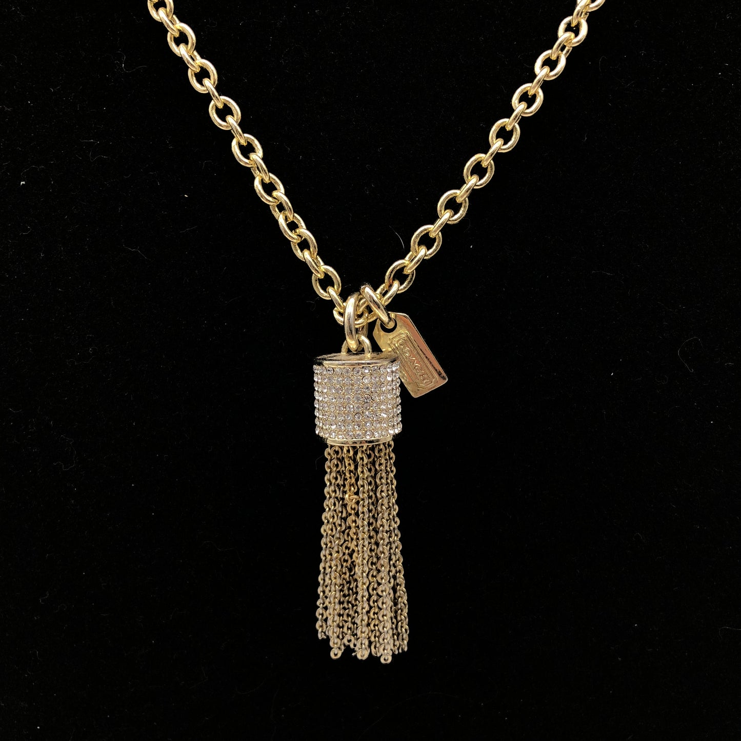 Necklace Chain By Coach